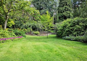 Optimiser l'expérience du jardin à Essertines-en-Chatelneuf