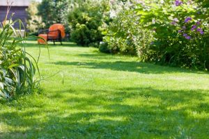 travaux jardin et paysage Essertines-en-Chatelneuf